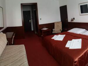 HOTEL SLAVIA Brno - 
