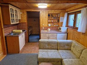 Chata Lanovka - Kouty nad Desnou - 