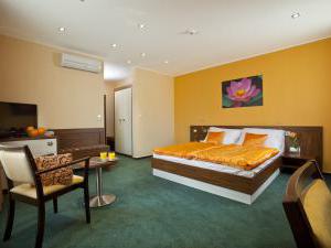 Hotel Viktor - Dvojlôžková izba s manželskou posteľou