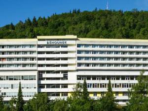 Spa Hotel Běhounek - Hotel Běhounek - exteriér