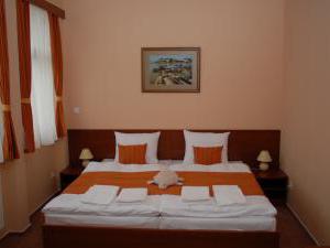 Hotel Podhradie - dvojlôžková izba s manželskou posteľou